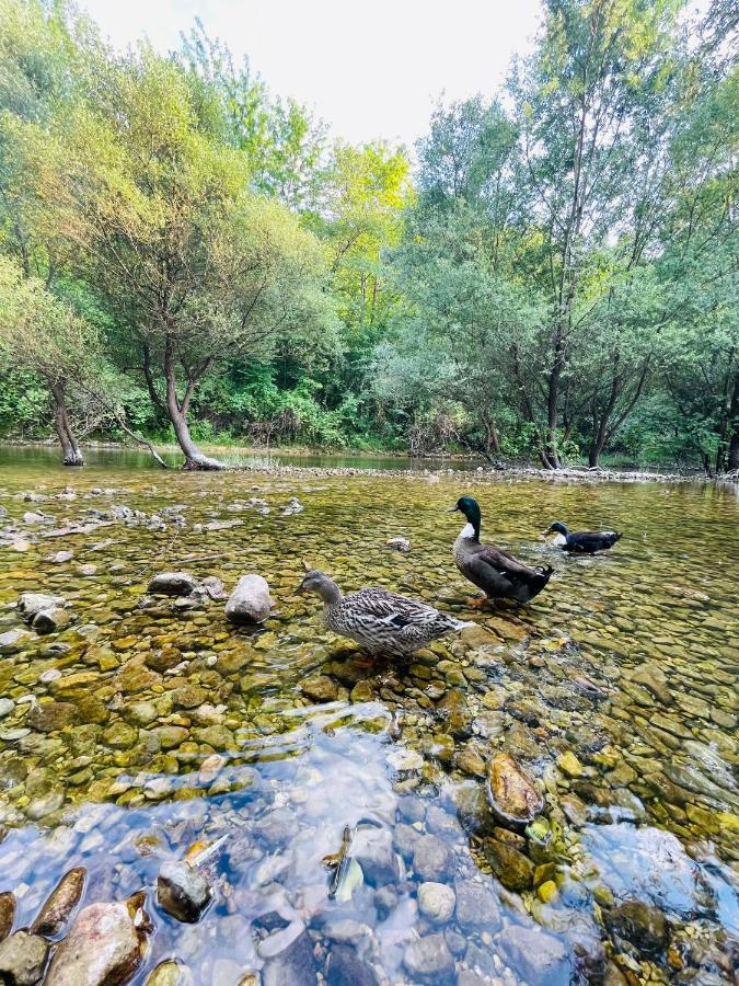 Skala Luxury Rooms Cetinje Eksteriør bilde